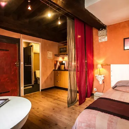 Renaissance Cote Cour Apartment Lyon
